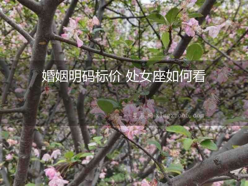 婚姻明碼標(biāo)價(jià) 處女座如何看