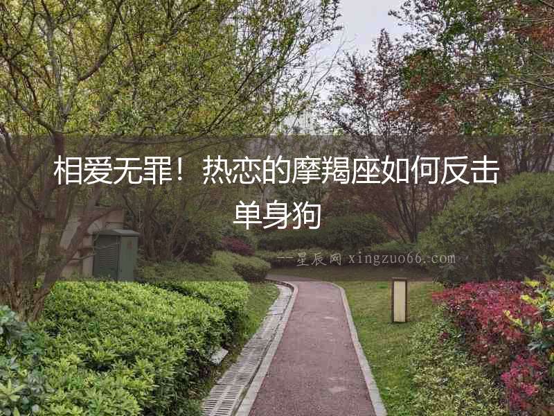 相愛無罪！熱戀的摩羯座如何反擊單身狗