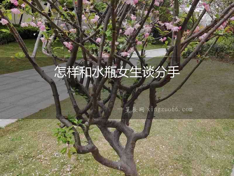 怎樣和水瓶女生談分手