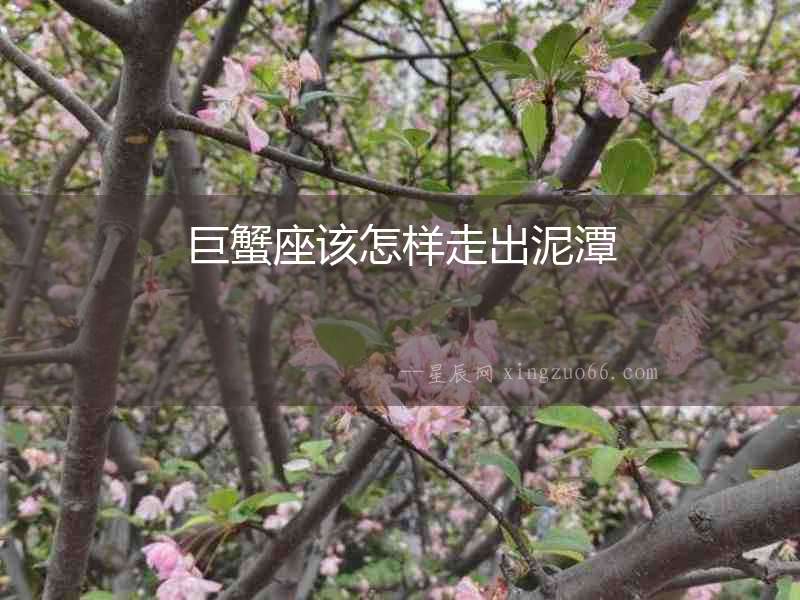 巨蟹座該怎樣走出泥潭