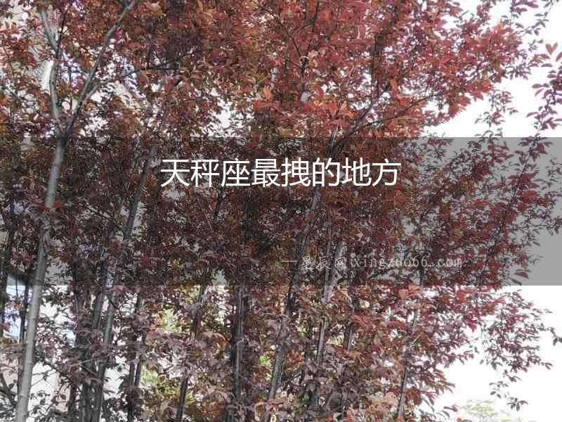 天秤座最拽的地方