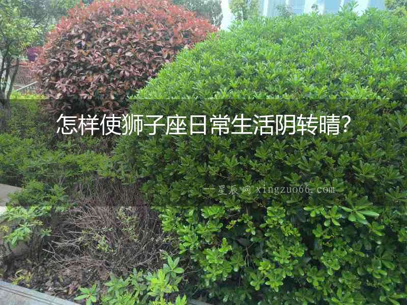怎樣使獅子座日常生活陰轉晴？