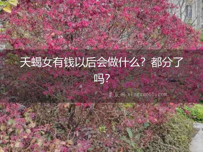 天蝎女有錢以后會做什么？都分了嗎？