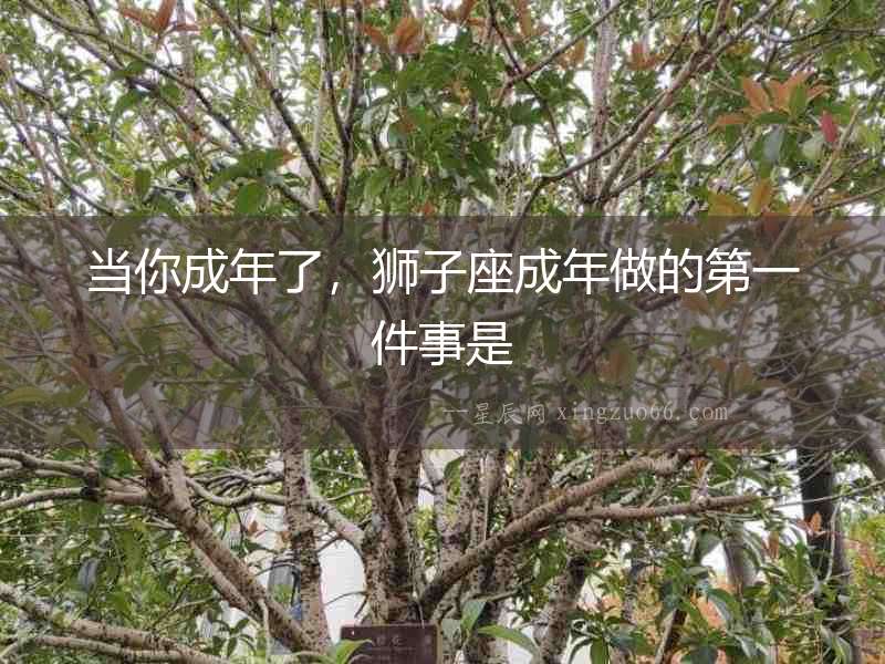 當你成年了，獅子座成年做的第一件事是