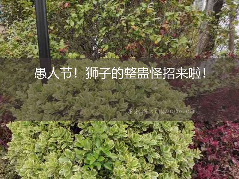 愚人節！獅子的整蠱怪招來啦！