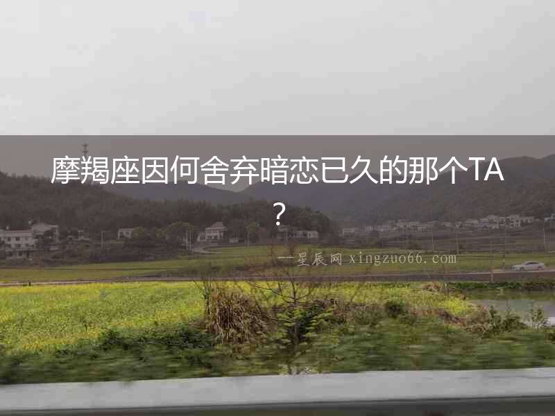 摩羯座因何舍棄暗戀已久的那個TA？