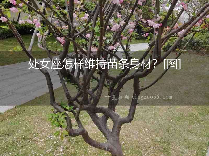 處女座怎樣維持苗條身材？[圖]