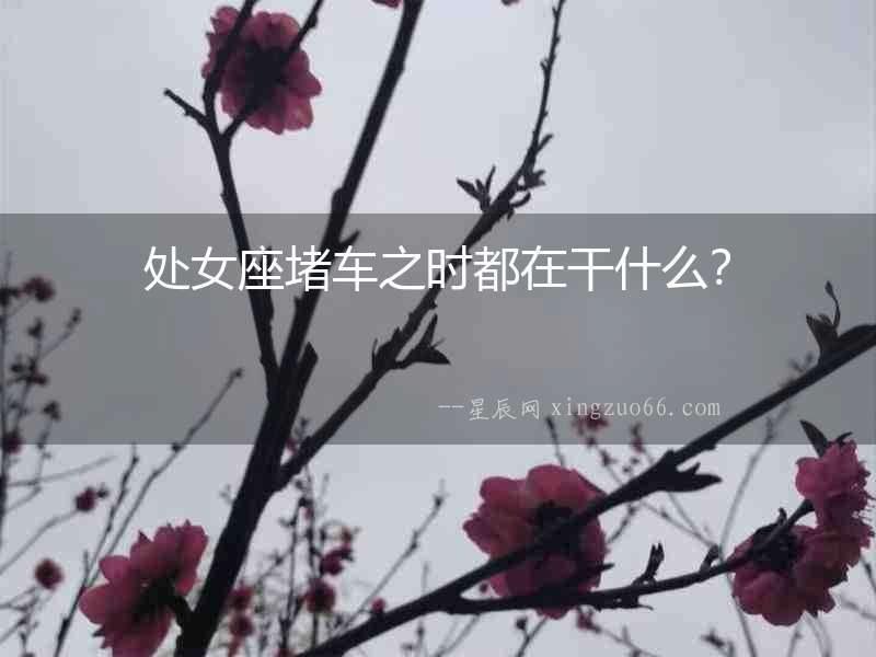 處女座堵車之時都在干什么？