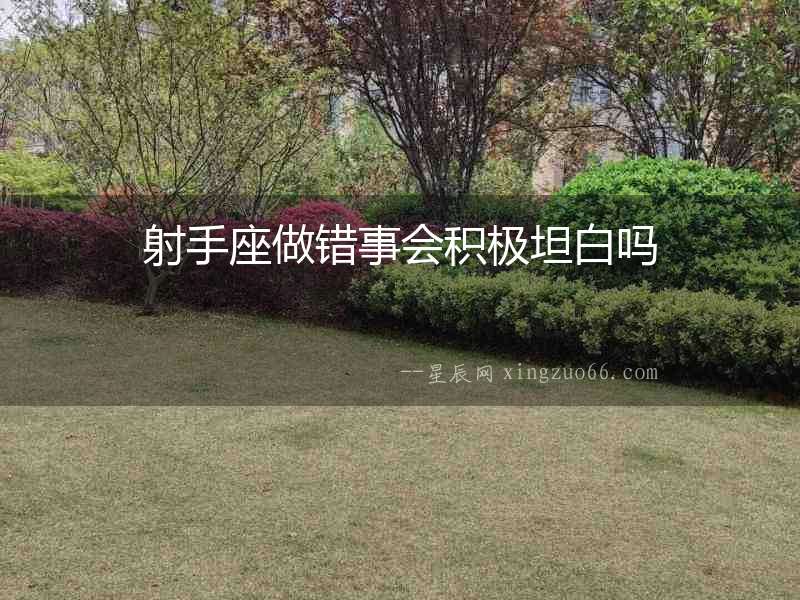 射手座做錯事會積極坦白嗎