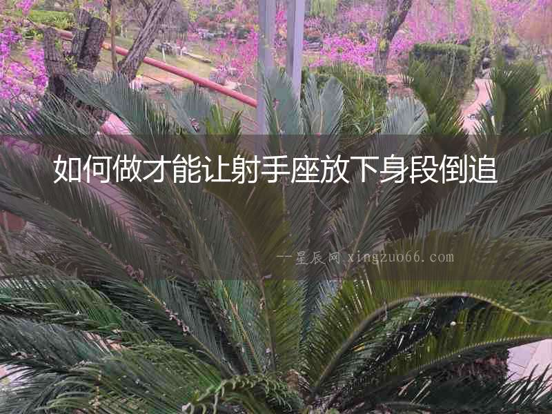 如何做才能讓射手座放下身段倒追