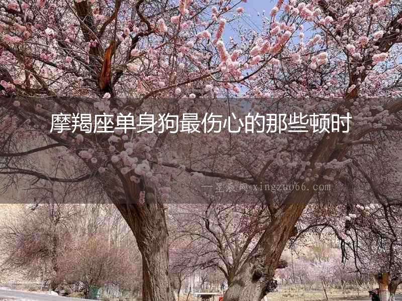 摩羯座單身狗最傷心的那些頓時