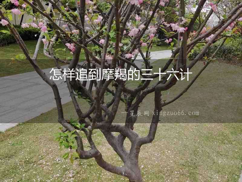 怎樣追到摩羯的三十六計