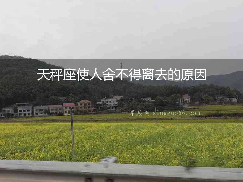 天秤座使人舍不得離去的原因