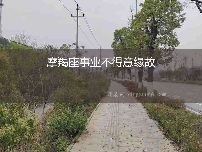摩羯座事業不得意緣故