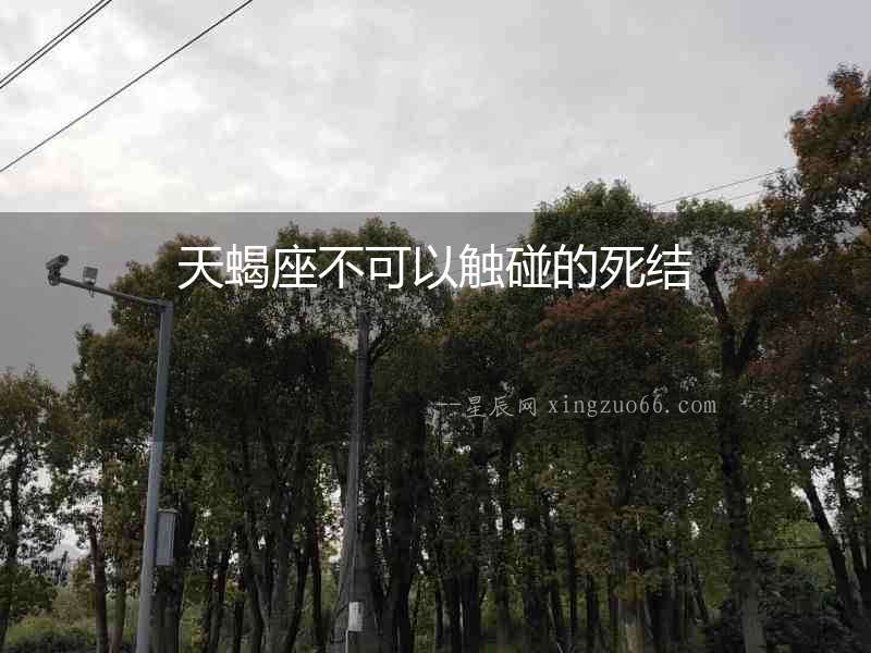 天蝎座不可以觸碰的死結