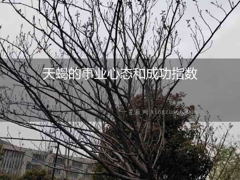 天蝎的事業(yè)心態(tài)和成功指數(shù)