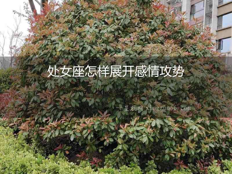 處女座怎樣展開感情攻勢