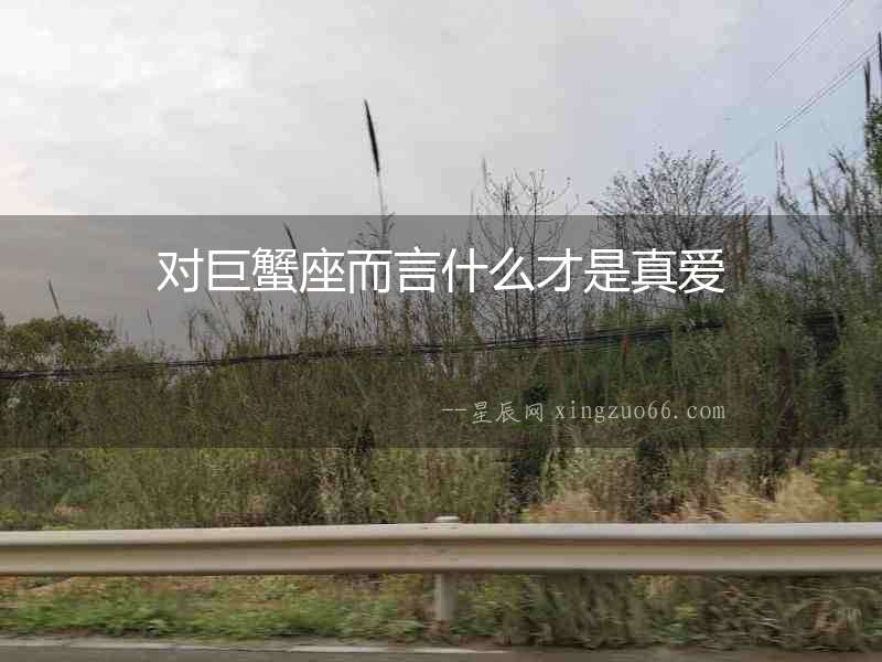 對巨蟹座而言什么才是真愛