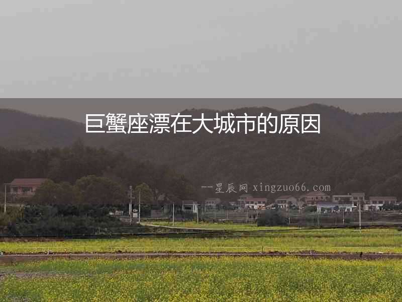 巨蟹座漂在大城市的原因