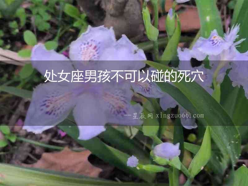 處女座男孩不可以碰的死穴