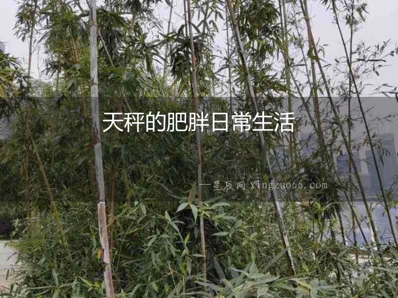 天秤的肥胖日常生活