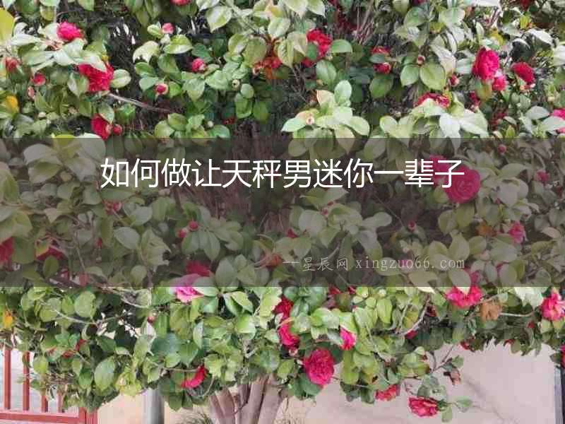 如何做讓天秤男迷你一輩子