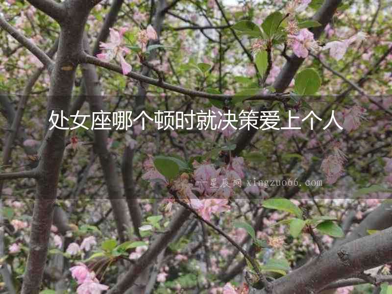 處女座哪個頓時就決策愛上個人