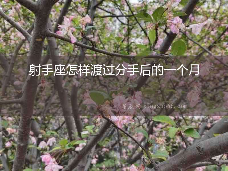 射手座怎樣渡過分手后的一個月