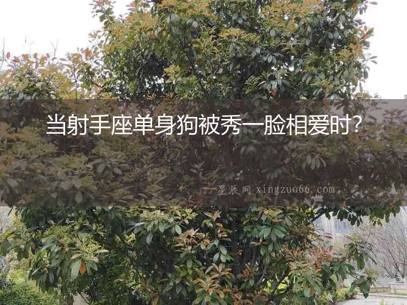 當射手座單身狗被秀一臉相愛時？