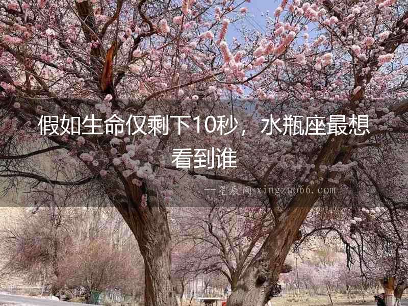 假如生命僅剩下10秒，水瓶座最想看到誰