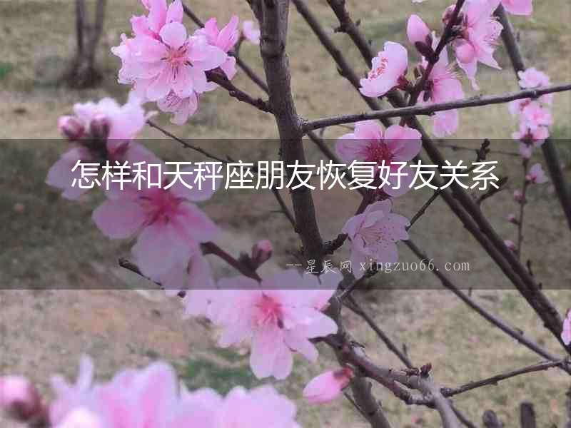 怎樣和天秤座朋友恢復(fù)好友關(guān)系