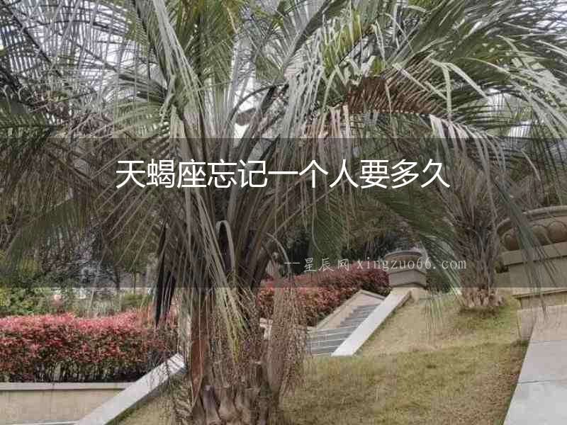 天蝎座忘記一個人要多久