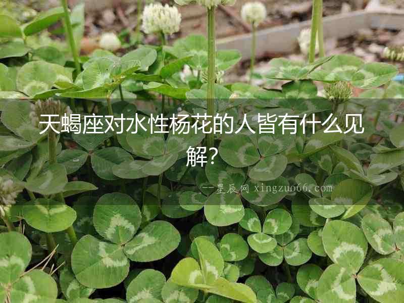 天蝎座對水性楊花的人皆有什么見解？