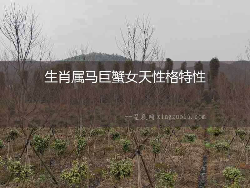 生肖屬馬巨蟹女天性格特性