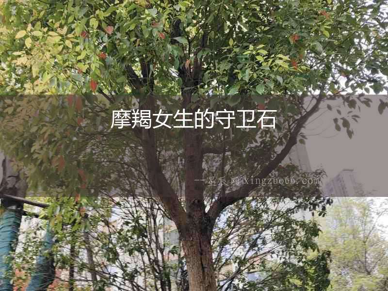 摩羯女生的守衛(wèi)石