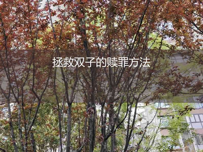 拯救雙子的贖罪方法
