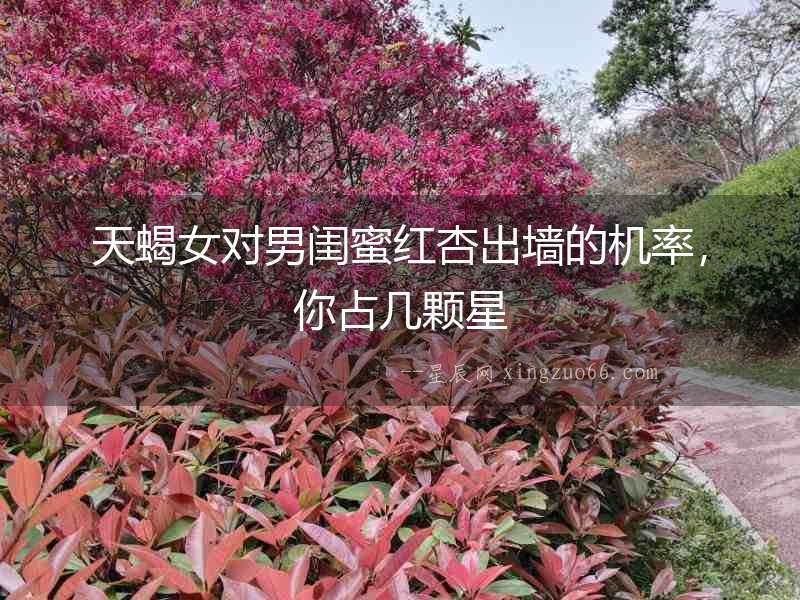 天蝎女對男閨蜜紅杏出墻的機率，你占幾顆星