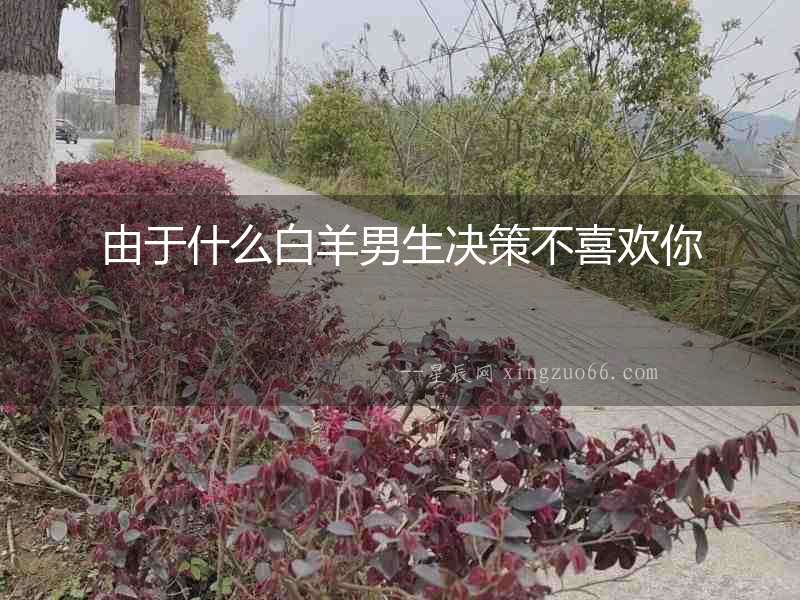 由于什么白羊男生決策不喜歡你