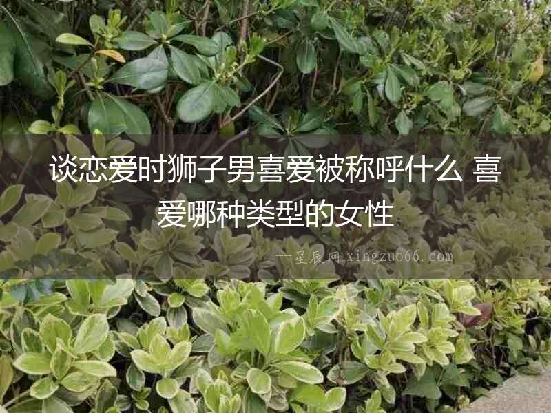 談戀愛時獅子男喜愛被稱呼什么 喜愛哪種類型的女性