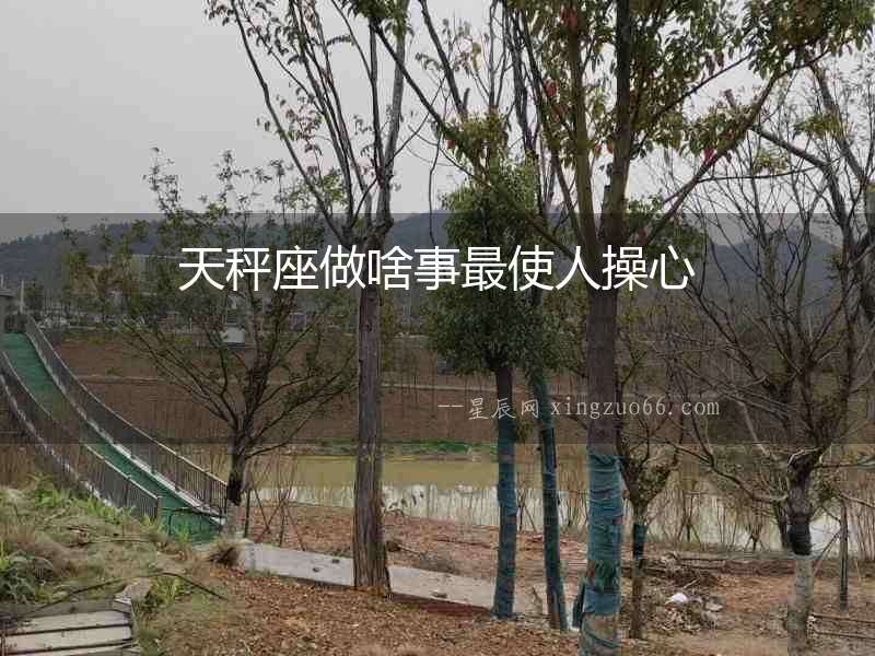 天秤座做啥事最使人操心