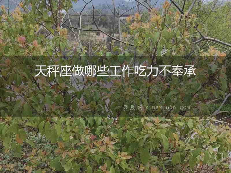 天秤座做哪些工作吃力不奉承