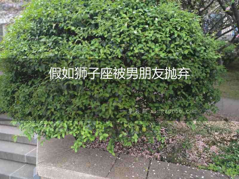 假如獅子座被男朋友拋棄