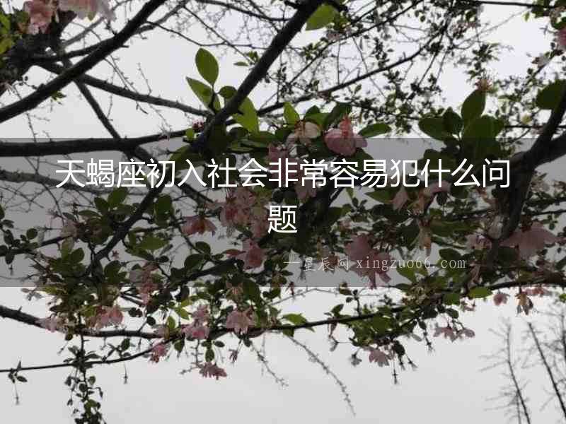 天蝎座初入社會非常容易犯什么問題
