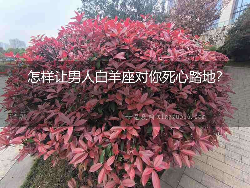 怎樣讓男人白羊座對你死心踏地？