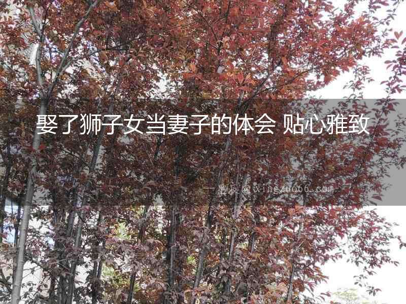 娶了獅子女當妻子的體會 貼心雅致