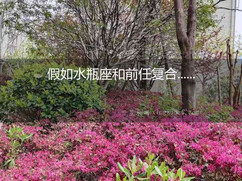 假如水瓶座和前任復合......