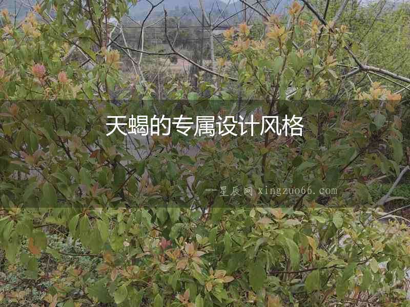 天蝎的專屬設(shè)計風(fēng)格