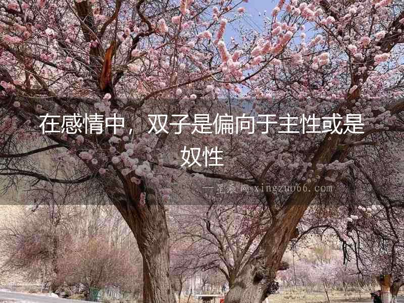 在感情中，雙子是偏向于主性或是奴性