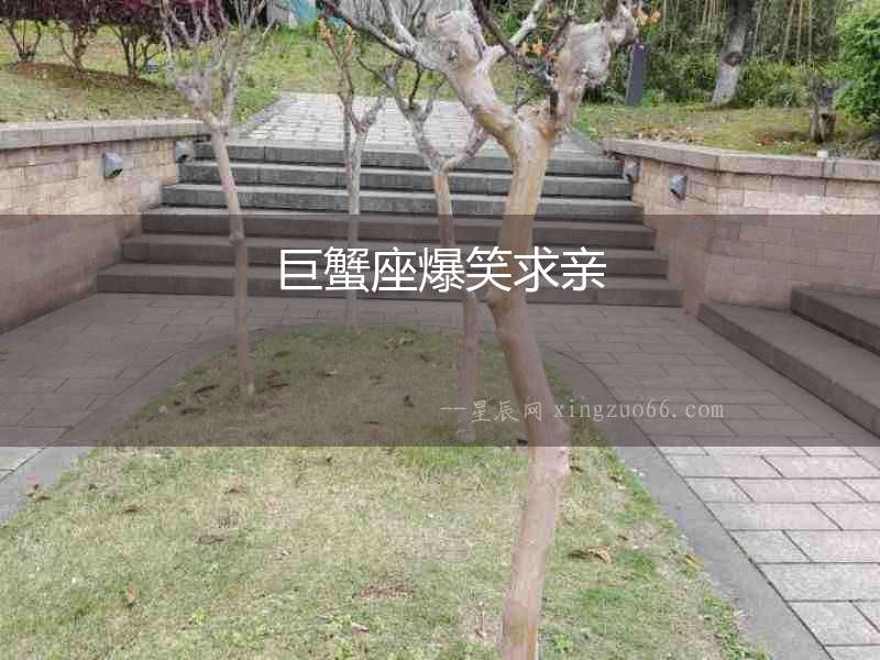 巨蟹座爆笑求親