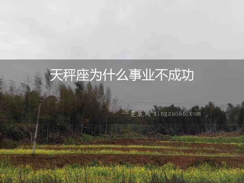 天秤座為什么事業不成功